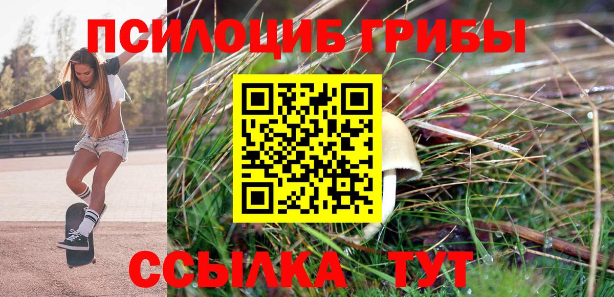 Псилоцибиновые грибы Psilocybine cubensis  Вход с VPN  Клинцы 