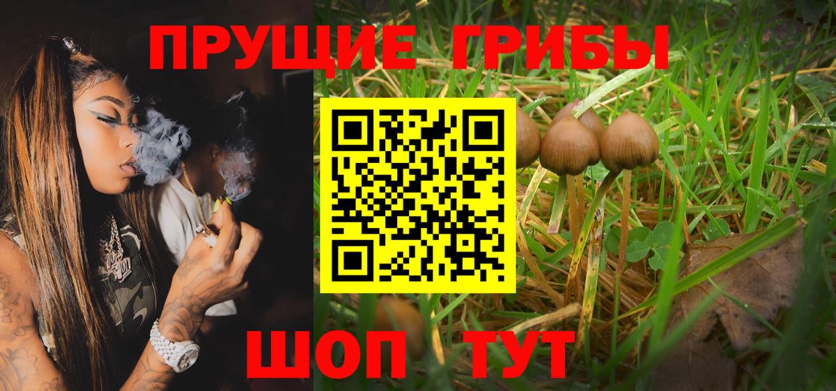 Галлюциногенные грибы Cubensis Клинцы